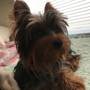 Meet your Posher, Valerie